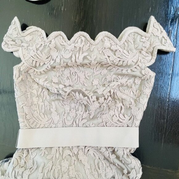 Tadashi Shoji Womens 6 Taupe Embroidered Lace Maxi Evening Dress Gown Party - Picture 13 of 16